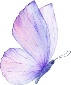 Pink Violet Watercolor Butterfly